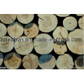 Fast Speed Horizontal Automatic Log Splitter